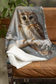 Cozy Winter Barred Owl Velveteen Plush Blanket